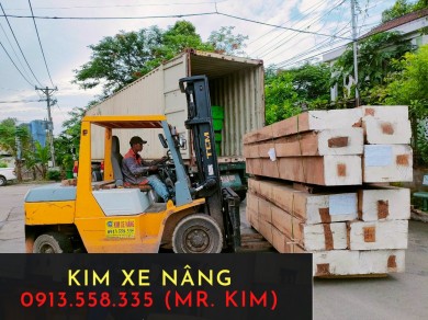Thue xe nang rut hang container tai Thanh Pho Moi, Binh Duong