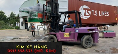 Cho thuê xe nâng và dịch vụ đóng rút hàng lên container tại KCN Mỹ Phước, Bình Dương