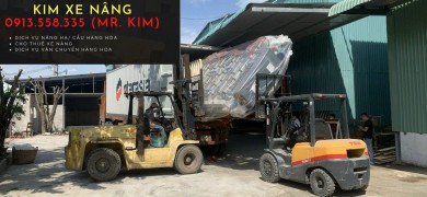 Cho thuê xe nâng và dịch vụ đóng rút hàng lên container tại KCN Vsip, Bình Dương