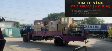 Dịch vụ xe nâng rút container và nâng hạ hàng hóa tại KCN Đồng An, Bình Dương